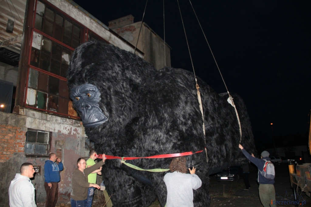 King Kong ze Szczecinka