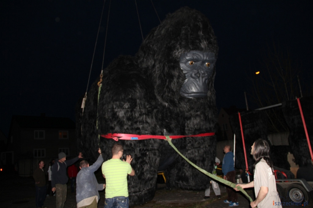 King Kong ze Szczecinka