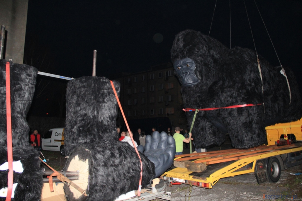 King Kong ze Szczecinka