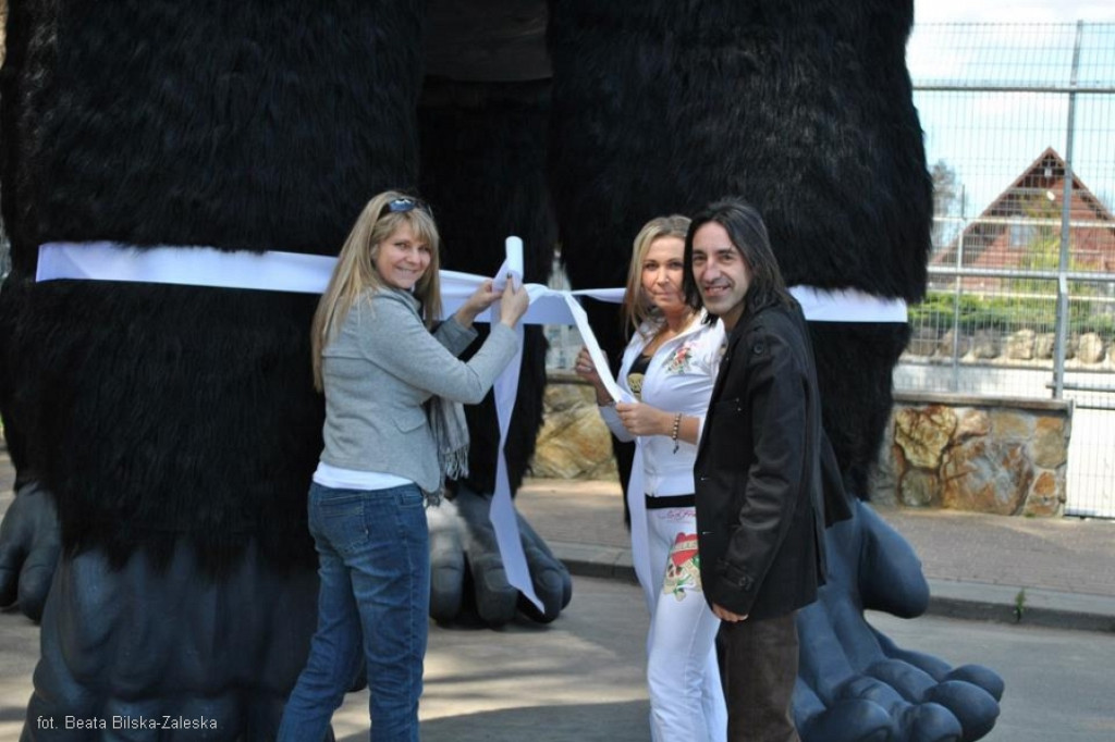 Szczecinecki King Kong w nowym domu