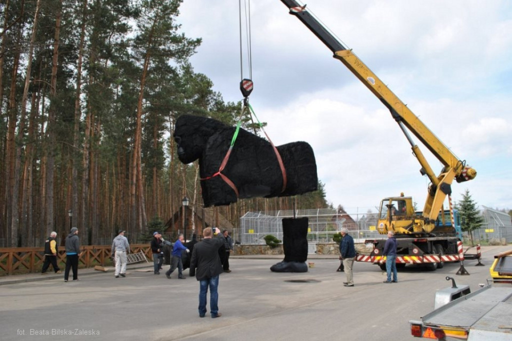 Szczecinecki King Kong w nowym domu