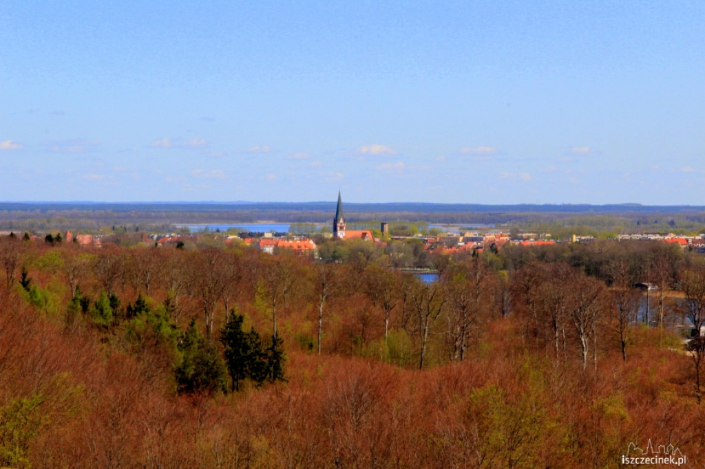 Widok z wieży w Świątkach