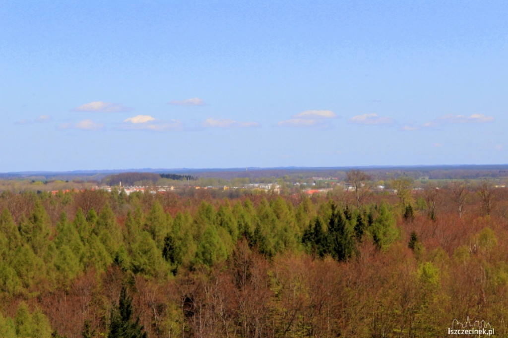 Widok z wieży w Świątkach