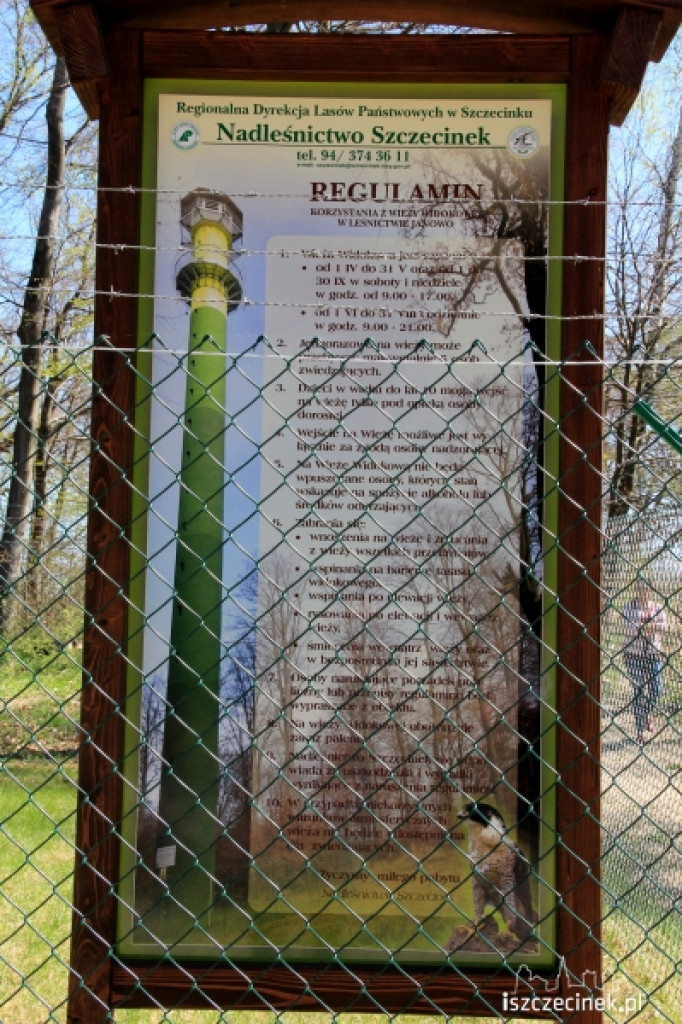 Widok z wieży w Świątkach