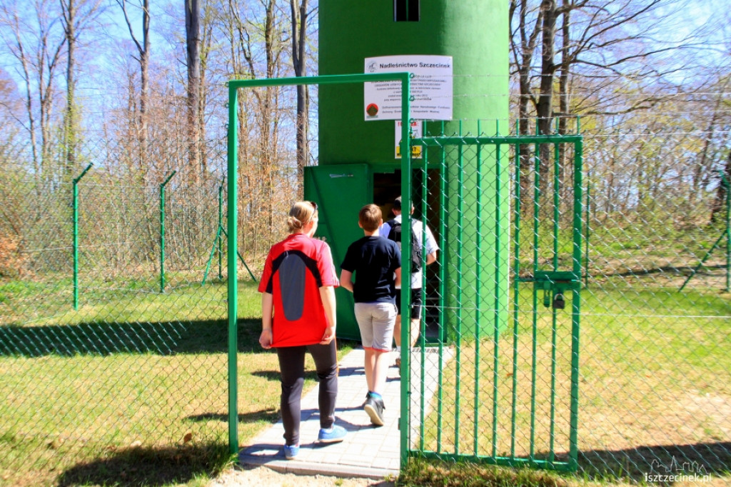 Widok z wieży w Świątkach