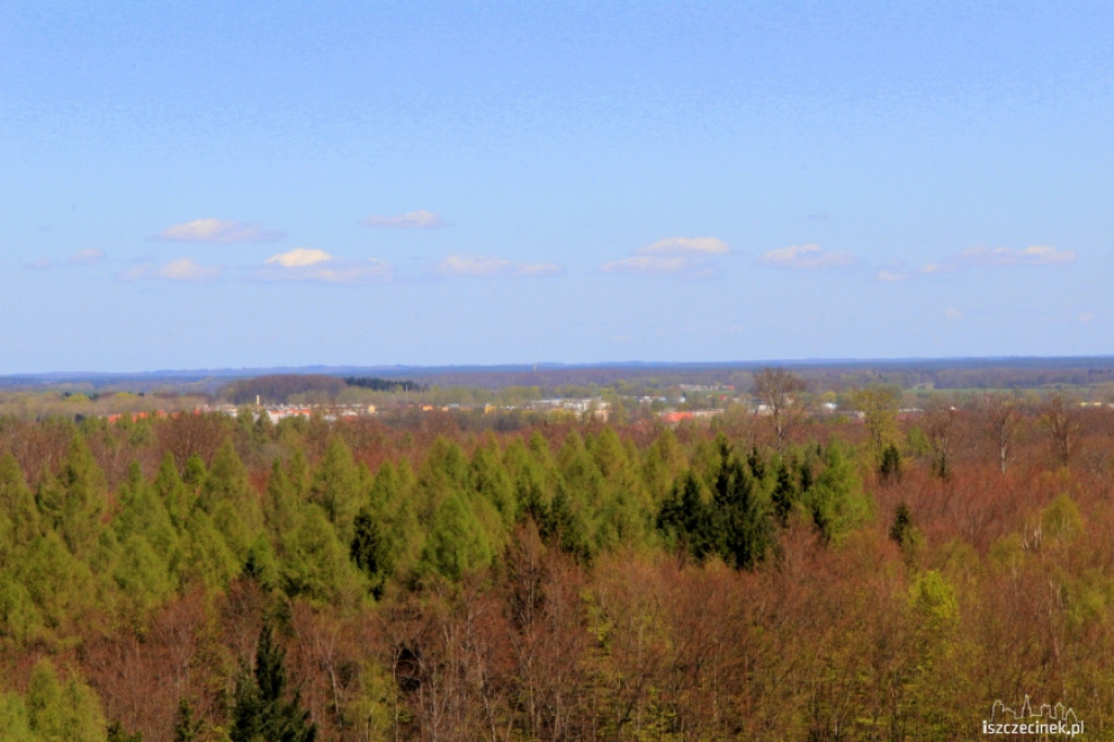 Widok z wieży w Świątkach