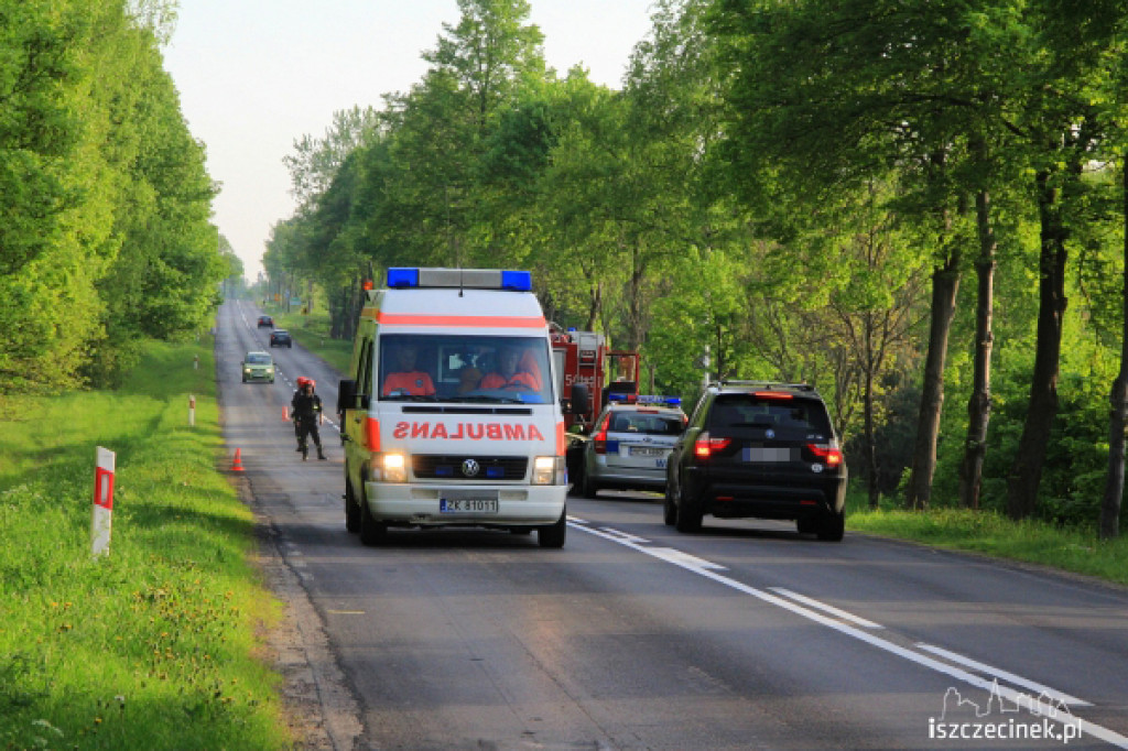 Czołowe zderzenie na dk 11