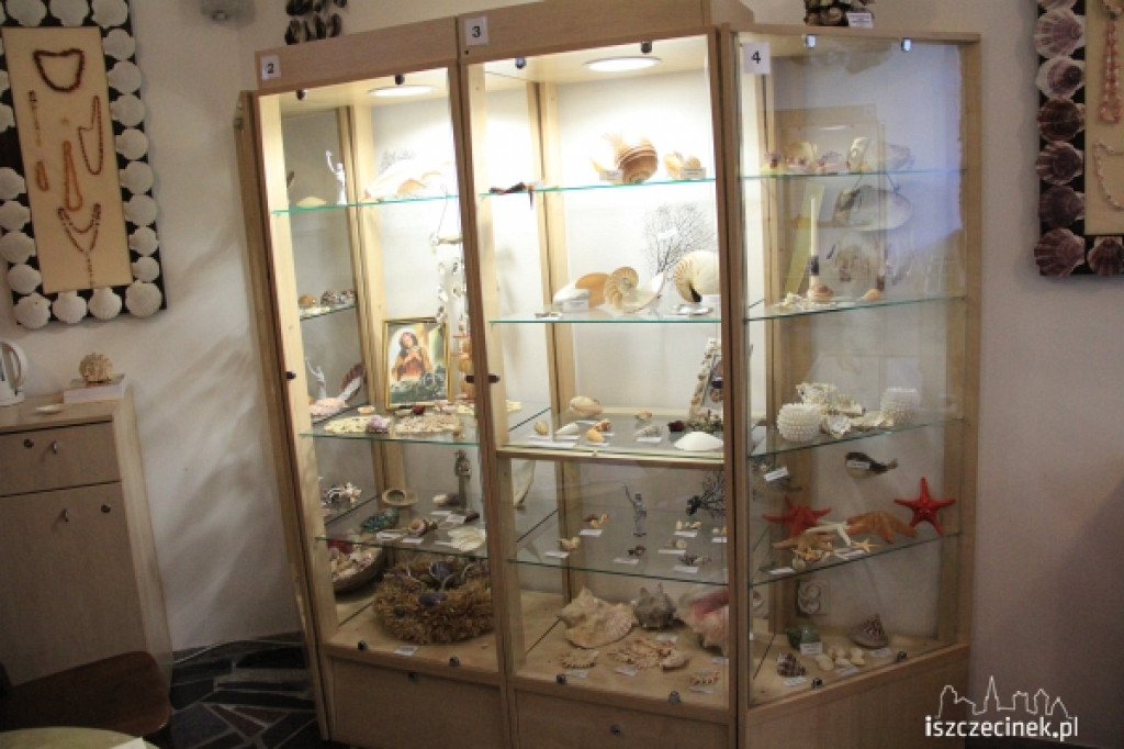 Muzeum Parafii pw. Świętej Rozalii z Palermo