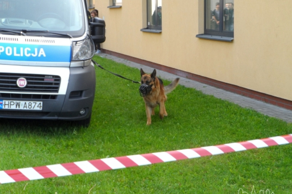 Bezpieczna szkoła, ciekawa szkoła