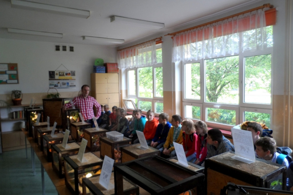 Gekony i pająki w szkole