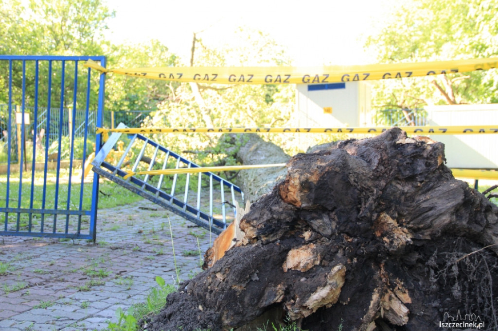 Na stację gazową runęło drzewo