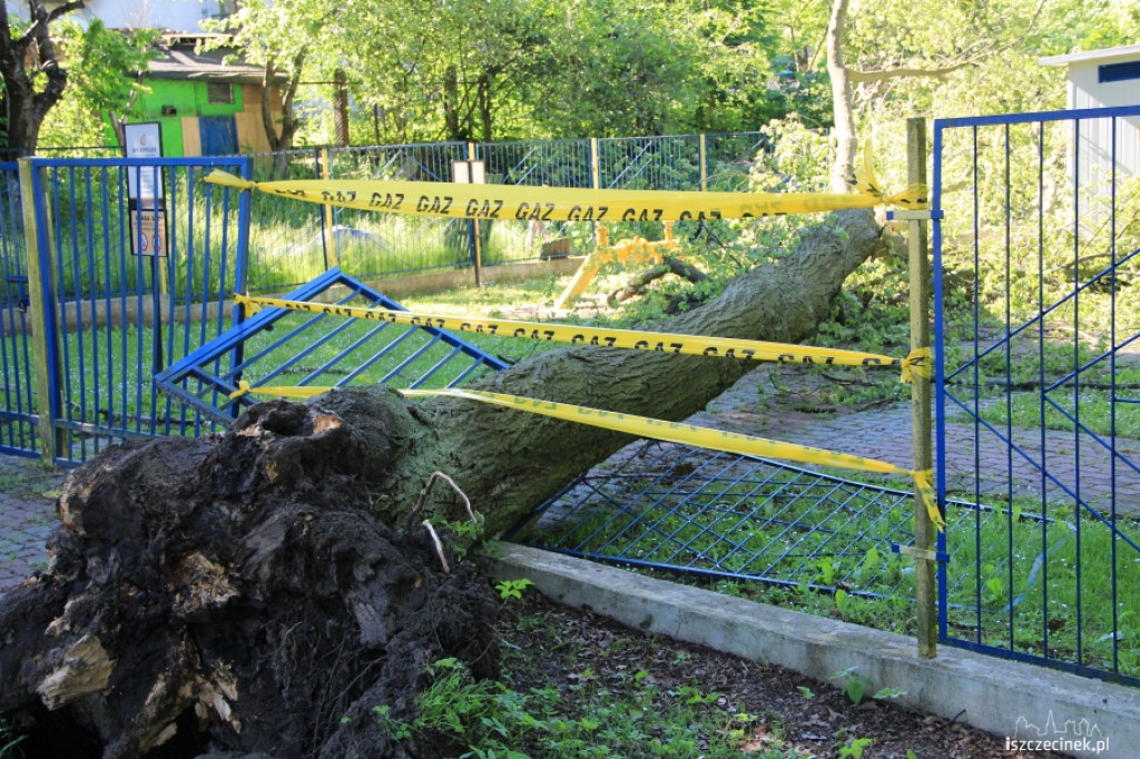 Na stację gazową runęło drzewo