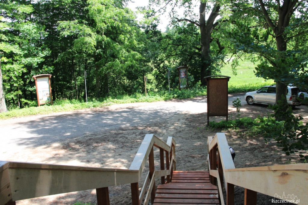 Budują schody do lasu