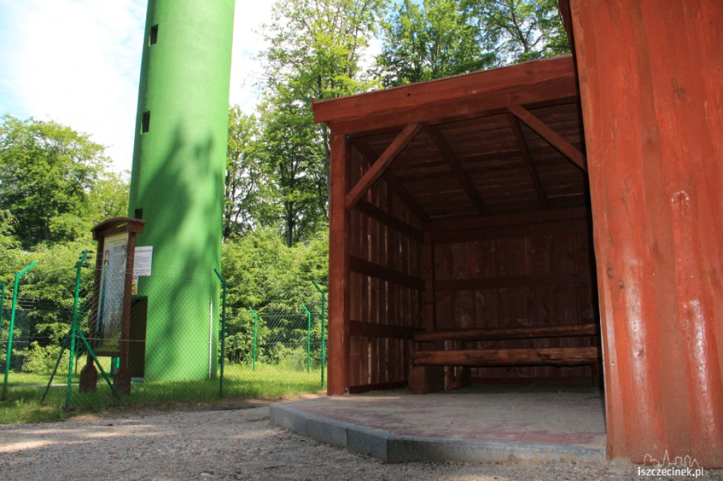 Budują schody do lasu