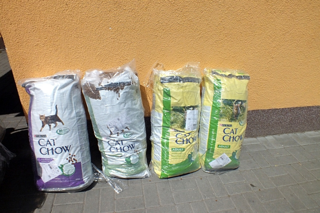 Karma i kwiaty dla schroniska