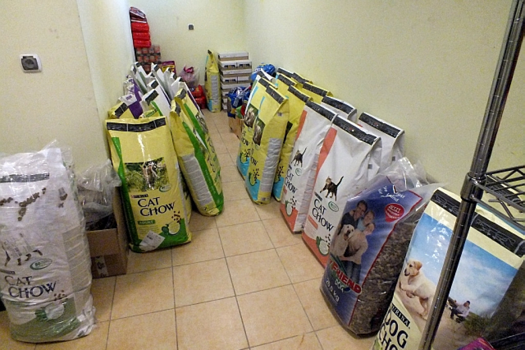 Karma i kwiaty dla schroniska