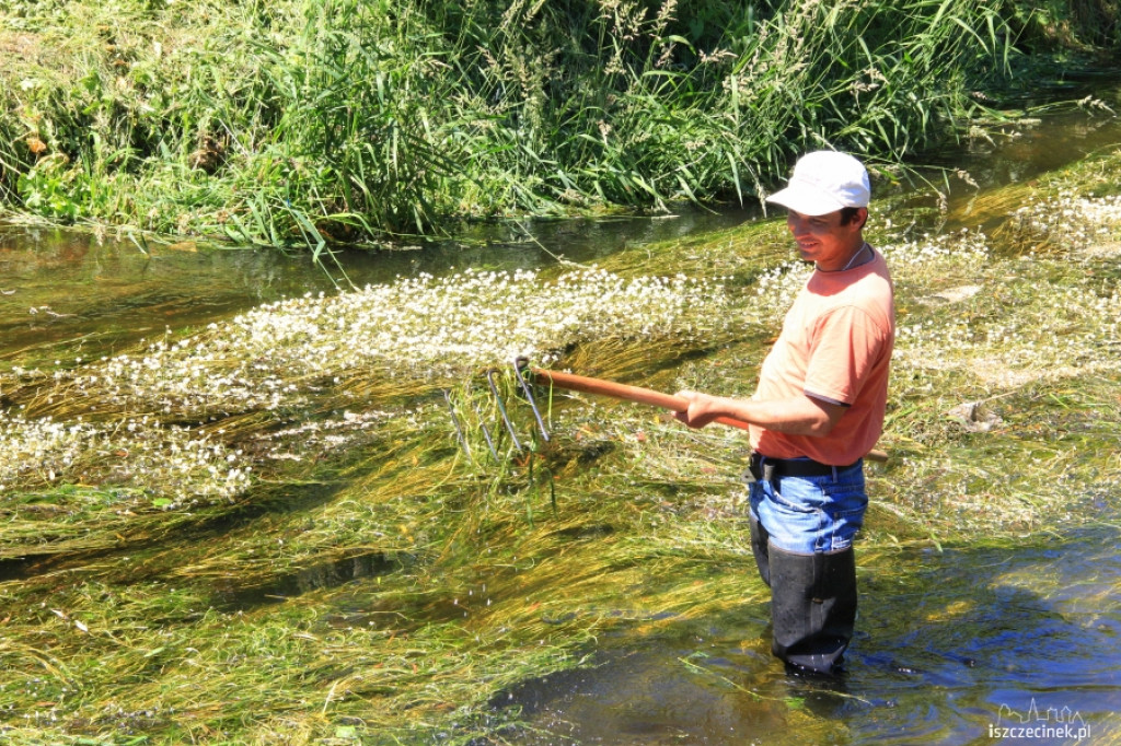 Konserwacja Niezdobnej (Nizicy)