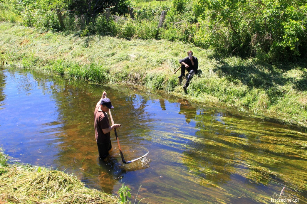 Konserwacja Niezdobnej (Nizicy)