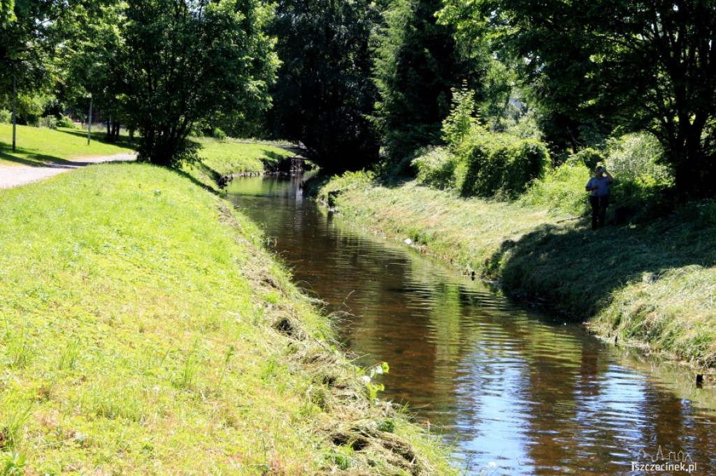 Konserwacja Niezdobnej (Nizicy)