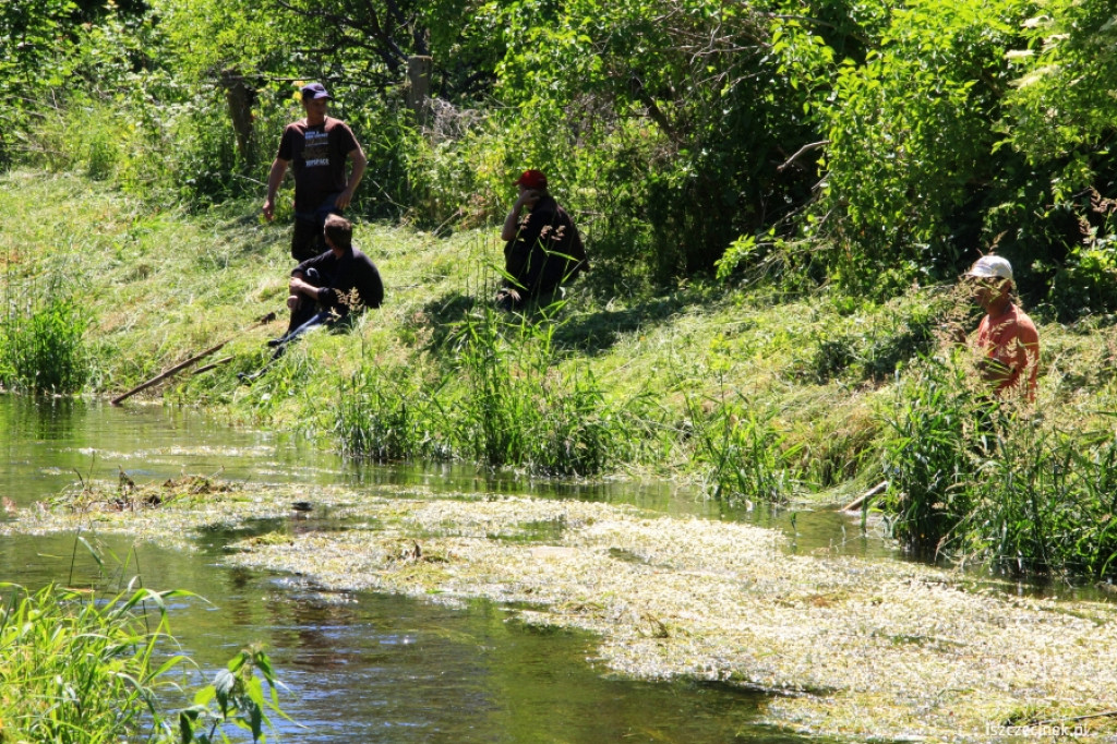 Konserwacja Niezdobnej (Nizicy)