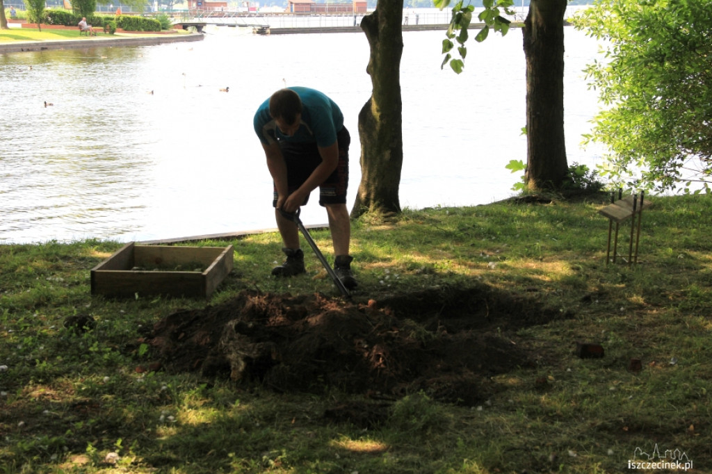 Budują 3 nowe siłownie w parku