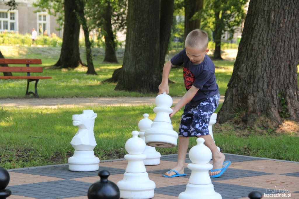 Szachy w parku