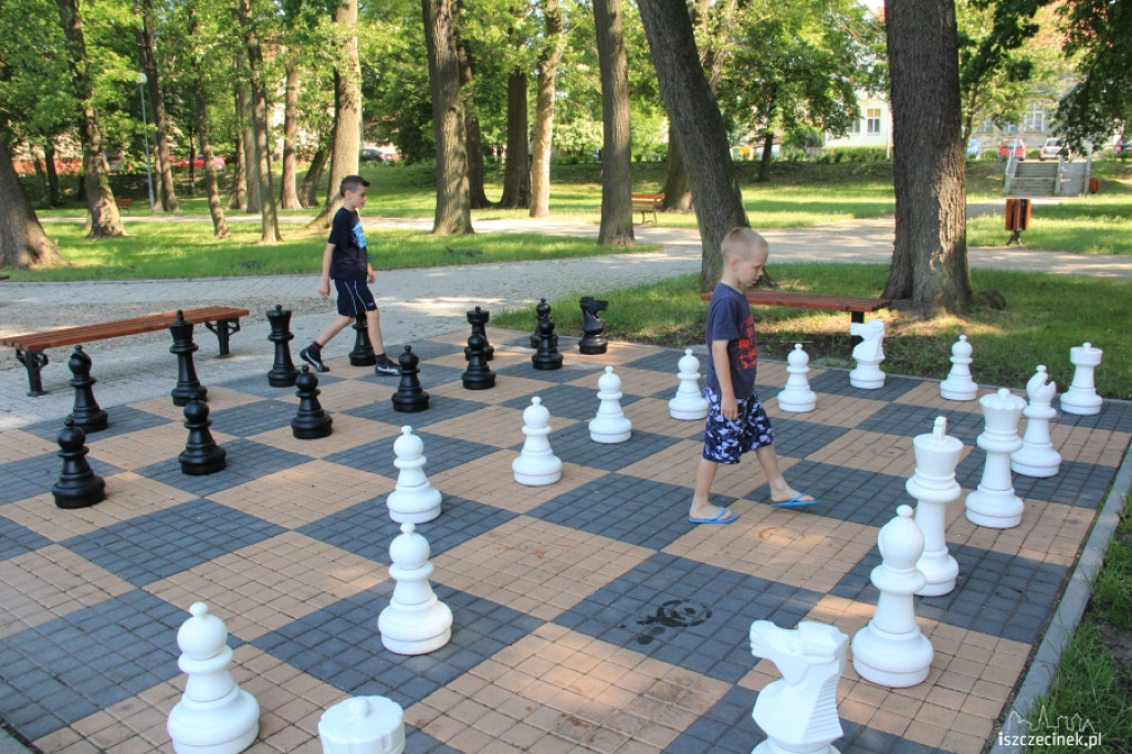 Szachy w parku