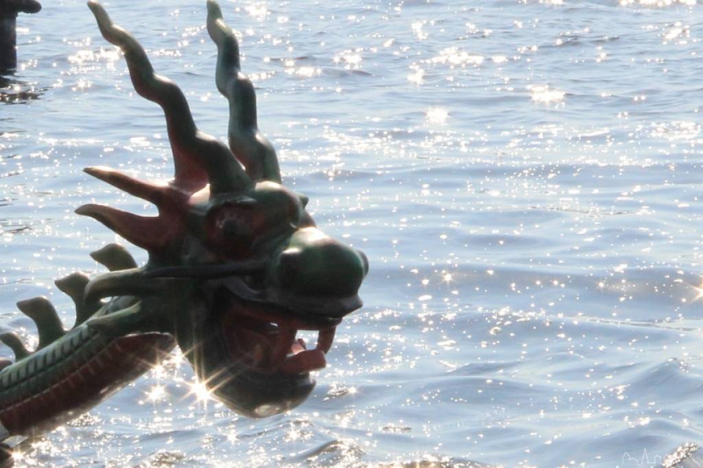 Regaty Smoczych Łodzi o Puchar i Tytuł Drużyny Roku SMOKI 2013