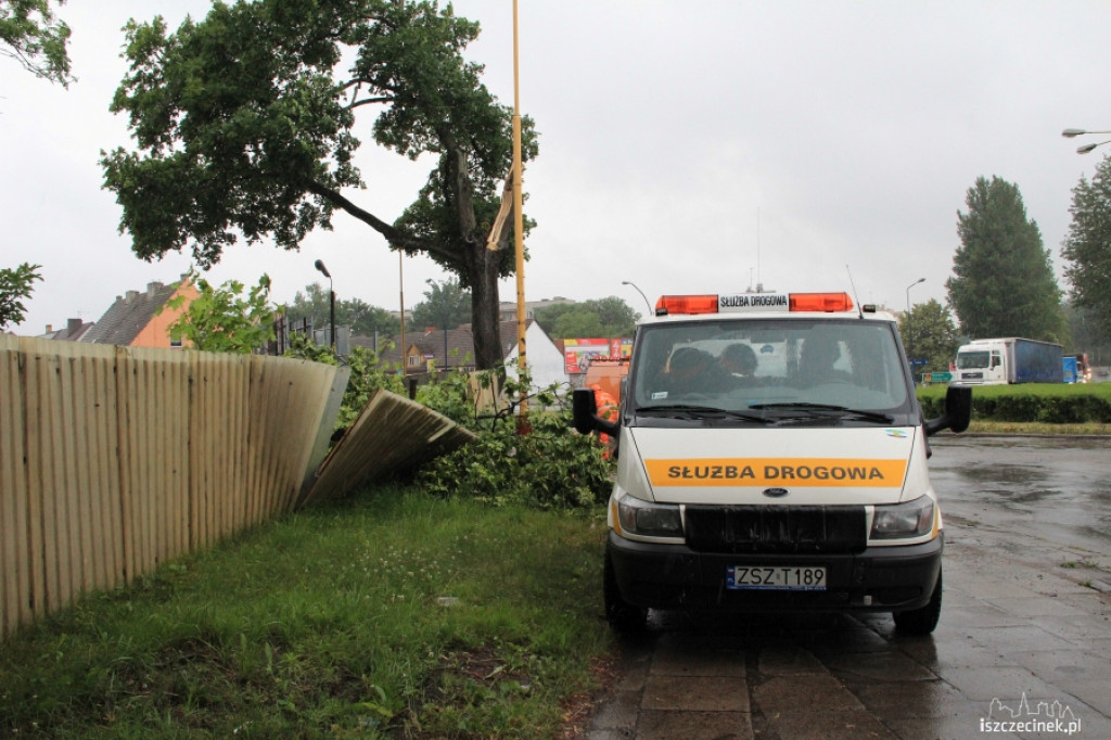 Znowu runęło drzewo
