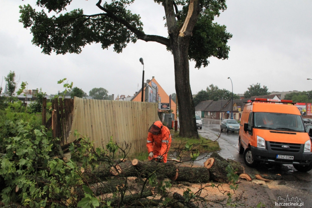 Znowu runęło drzewo