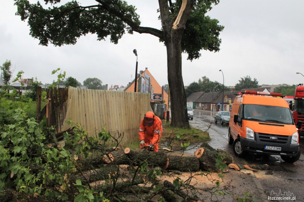 Znowu runęło drzewo