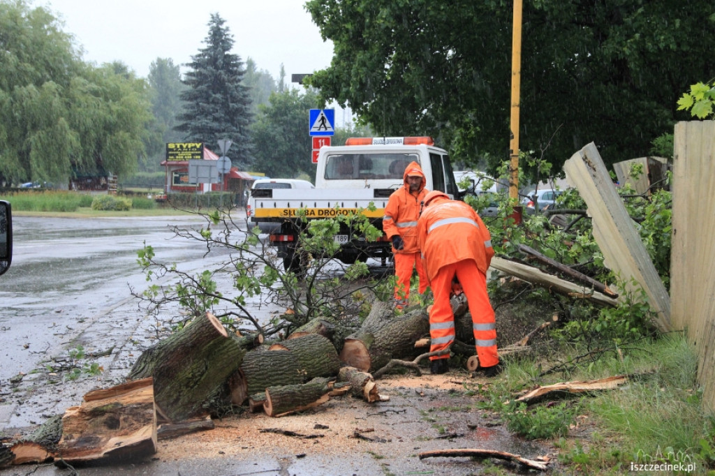 Znowu runęło drzewo