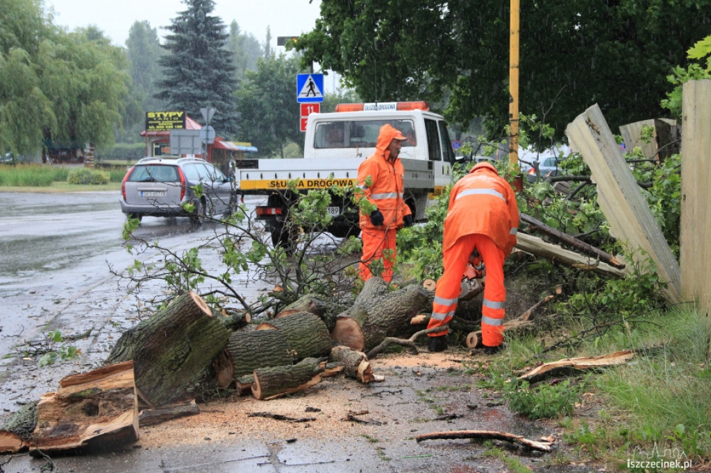 Znowu runęło drzewo