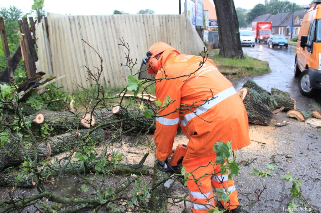 Znowu runęło drzewo