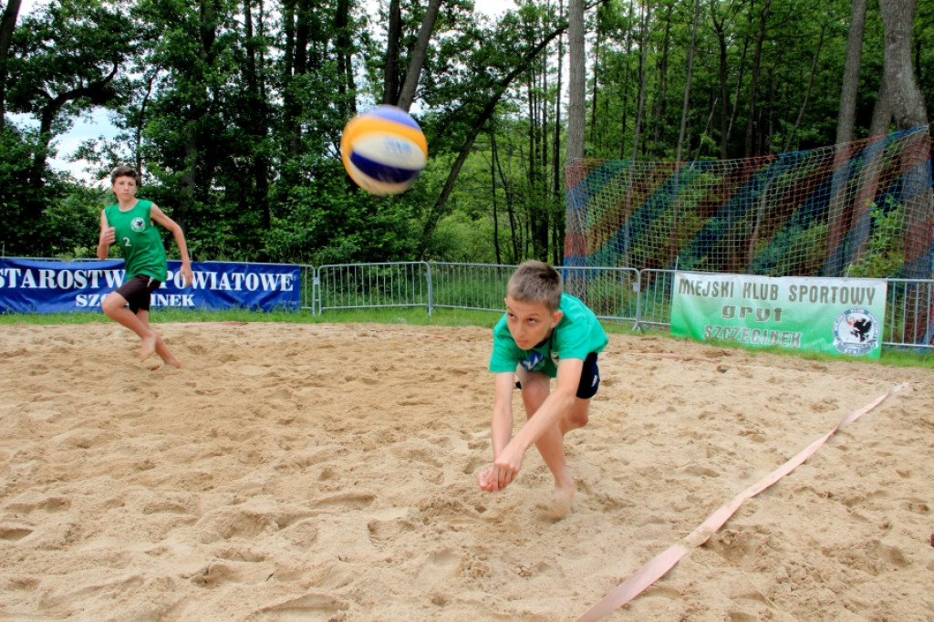 Gryf i Elmilk na Mysiej Wyspie