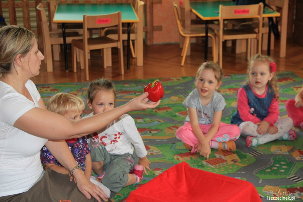 Piramida zdrowia w Misiu