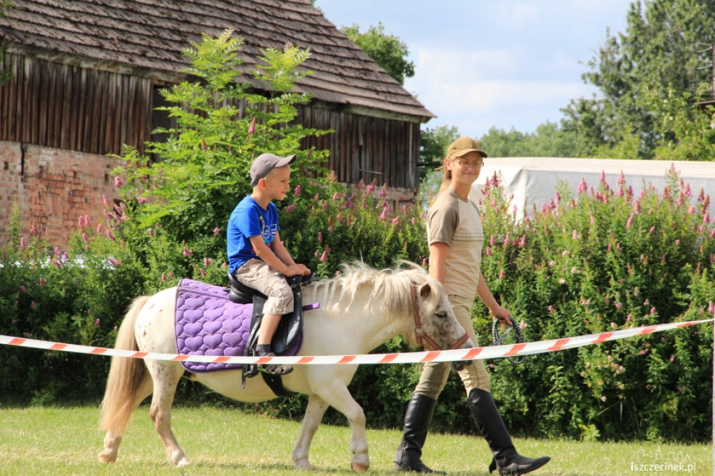 Piknik Rodzinny w Wilczych Laskach