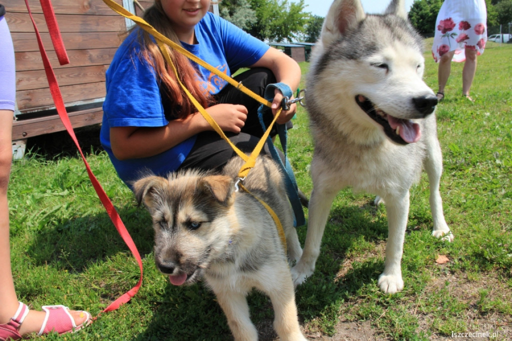 Grzybiarze znaleźli psa przywiązanego do drzewa