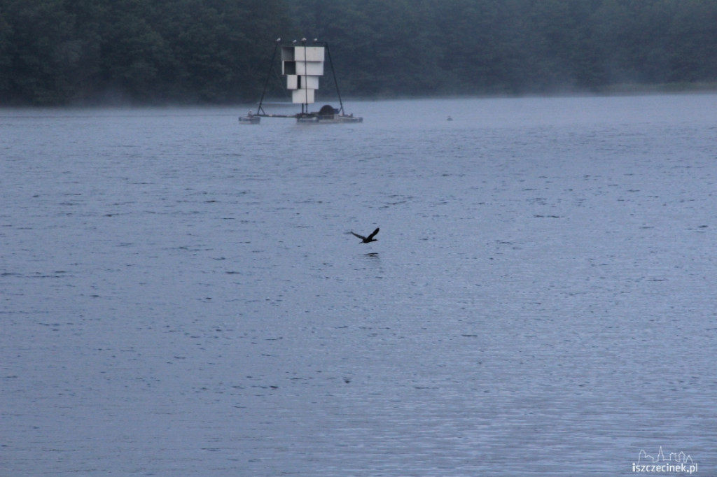 Zawody spinningowe Szczecinecki Jesiotr 2013