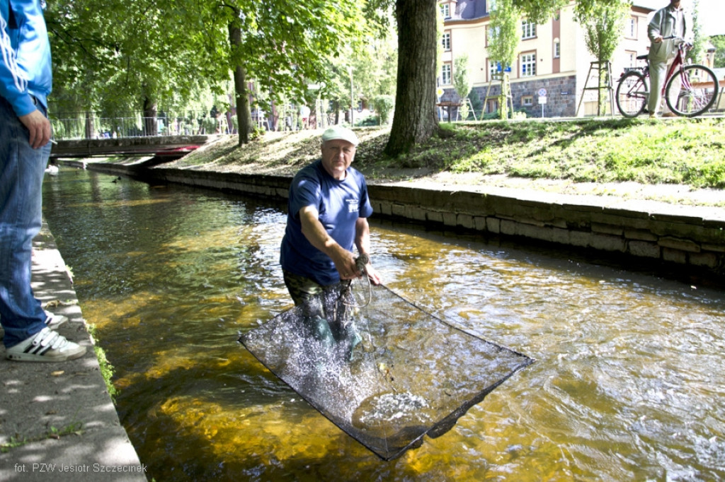 Przerzut ryb na Niezdobnej