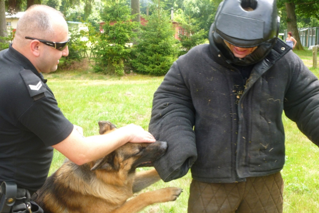 ?Bezpieczne wakacje? w Drężnie