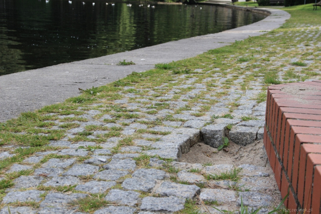 Rozbierają chodnik w parku