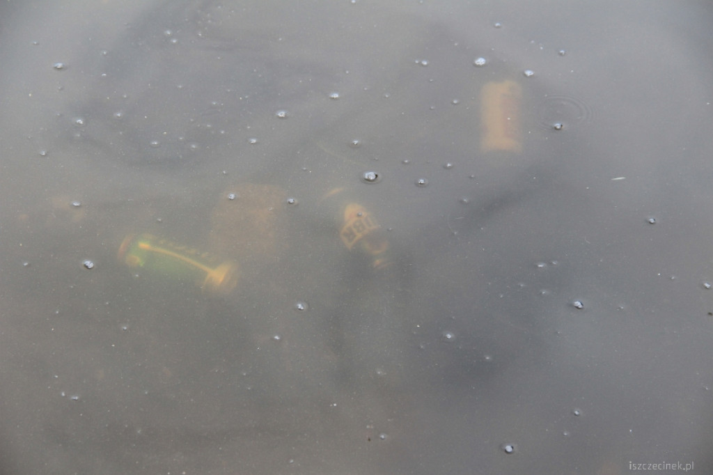 Rozbierają chodnik w parku