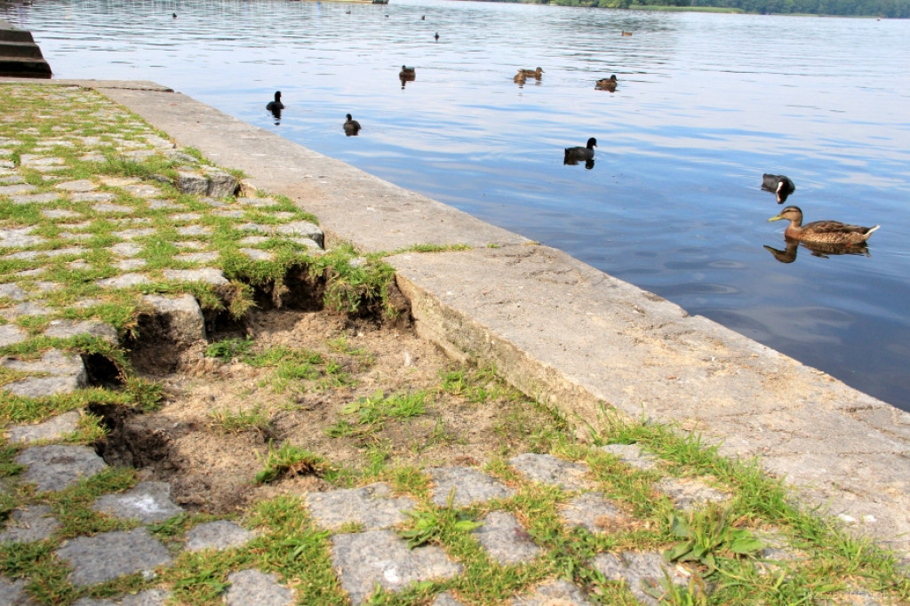 Rozbierają chodnik w parku