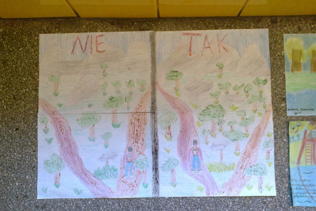 Podsumowanie konkursu 