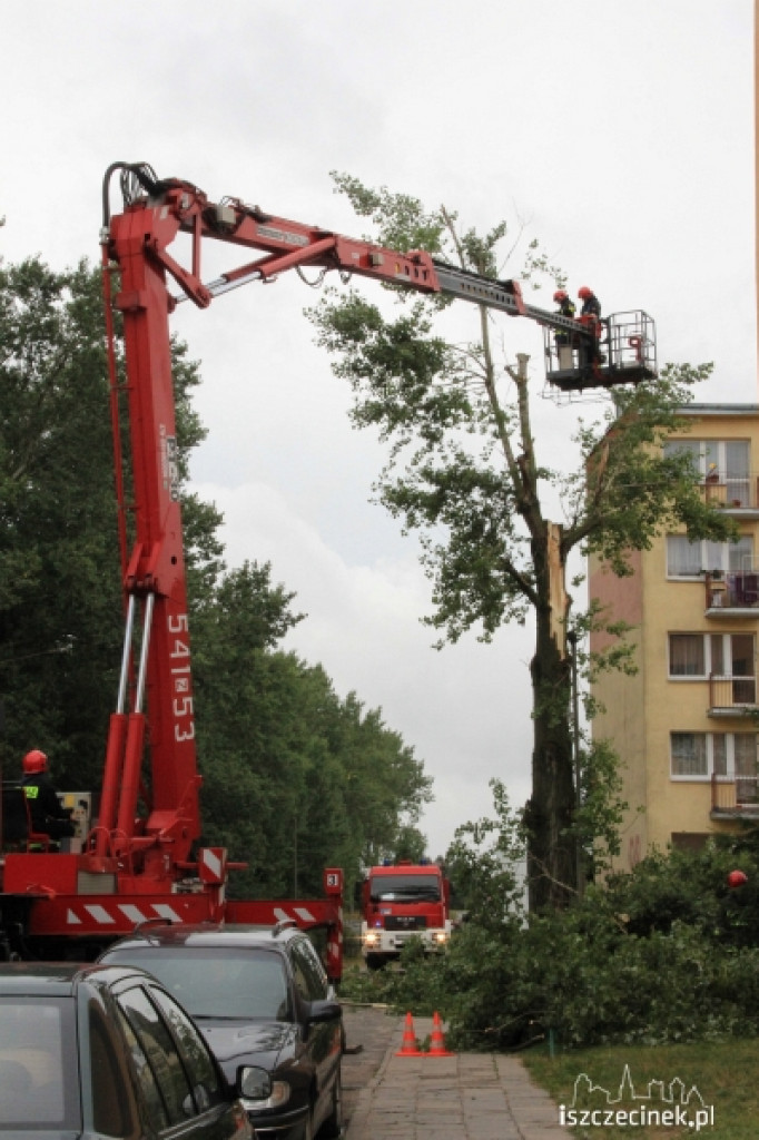 Na os. Koszalińska runęło drzewo