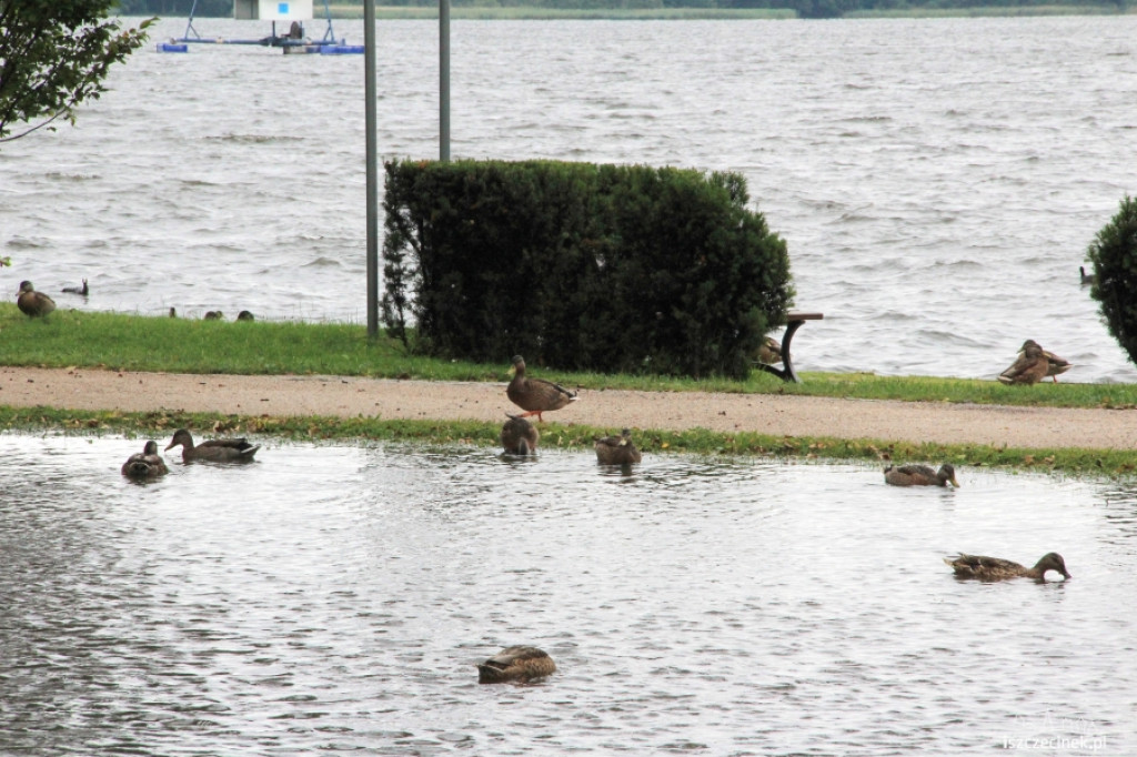 Intensywne opady zalały park