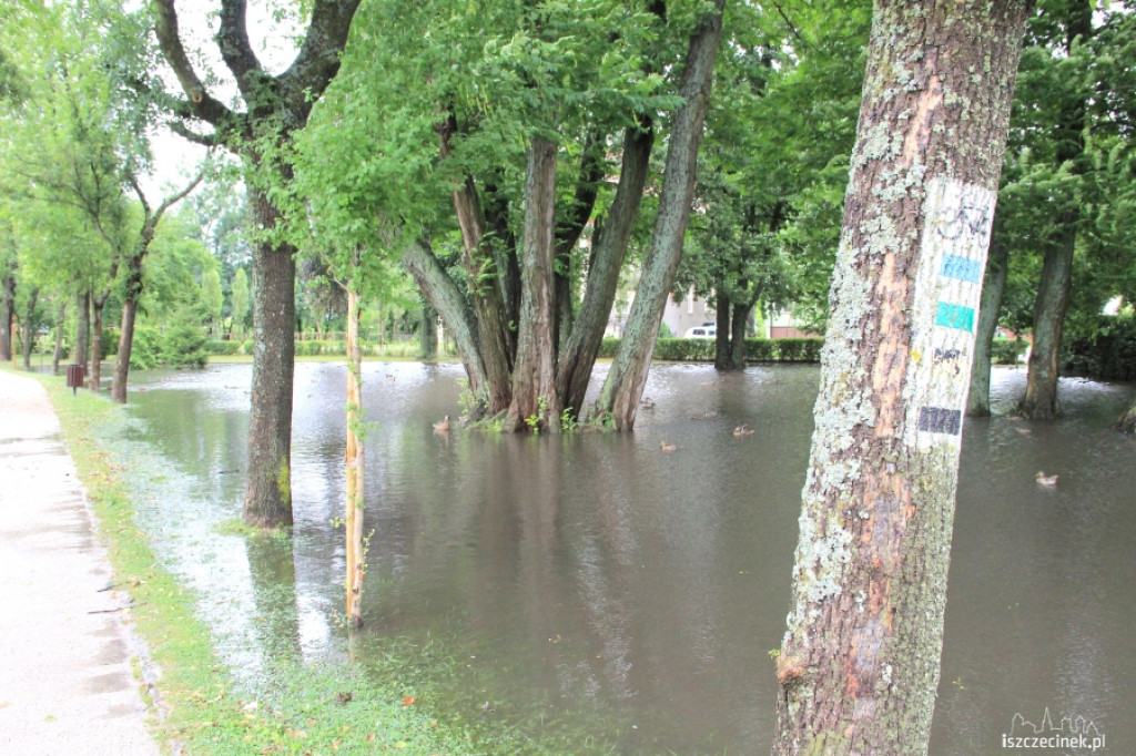 Intensywne opady zalały park