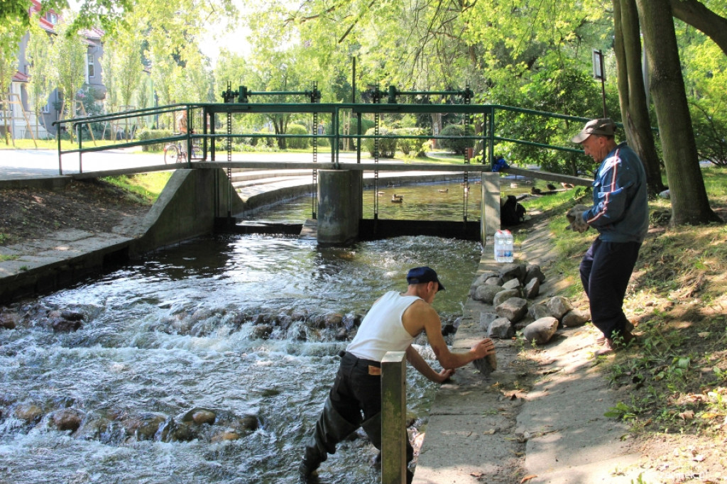 Kaskada na Niezdobnej (Nizicy)