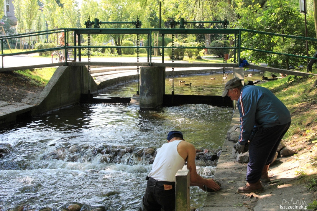 Kaskada na Niezdobnej (Nizicy)